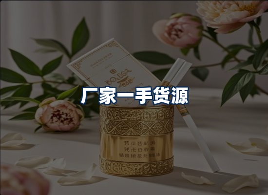 专业团队办公环境
